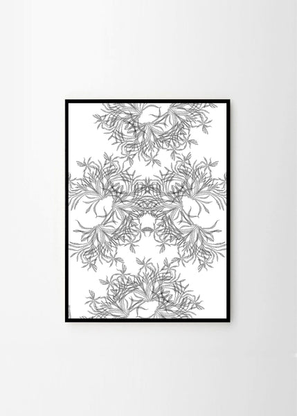 Illusion in Nature no.1