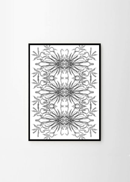 Illusion in Nature no.4