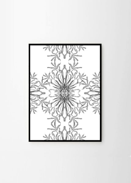 Illusion in Nature no.5