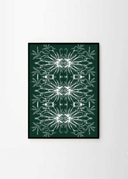 Illusion in Nature no.6