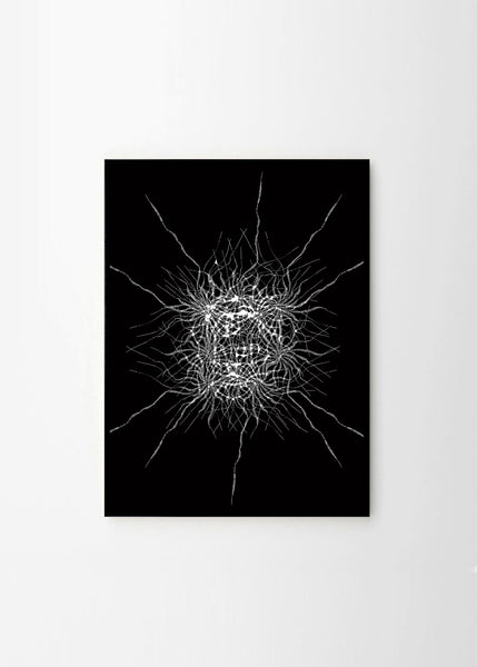 The Sharp Flower no.2