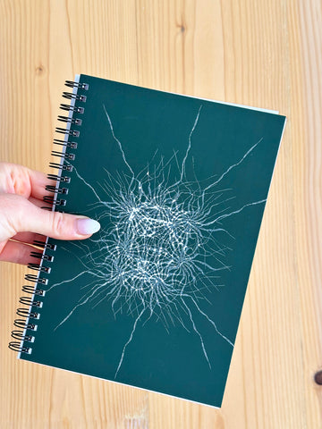 Notebook~The Sharp Flower